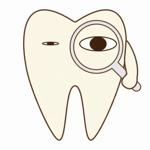 Tooth Magnifying Glass GIF by dental_sozai