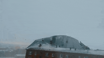 annalisichkina  GIF