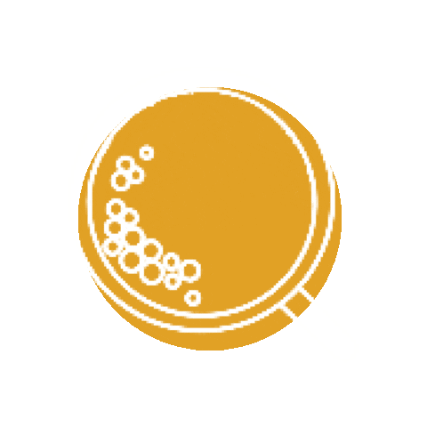 Sticker by BBR Creative