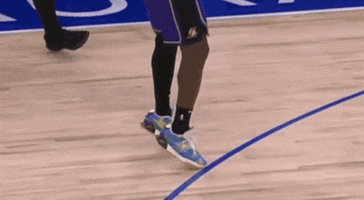 Sneakers Lebron GIF by EsZ  Giphy World