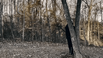 Look Out Scary Movie GIF by The Frst