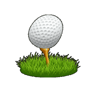 GolfSim Sticker
