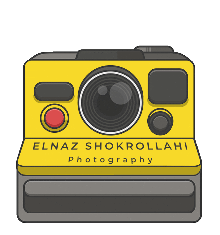 Elnaz Shokrollahi Photography Sticker
