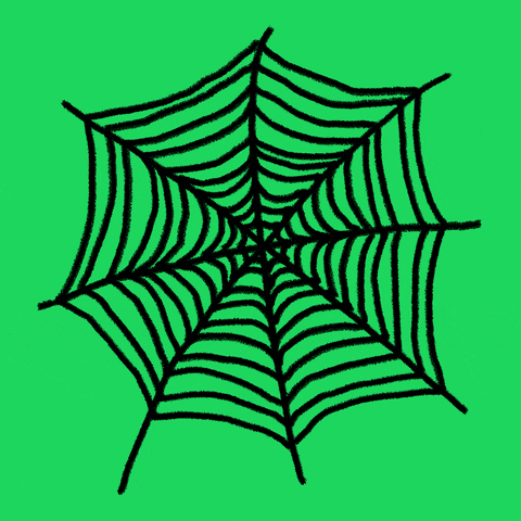 Web Spider GIF by Kochstrasse™
