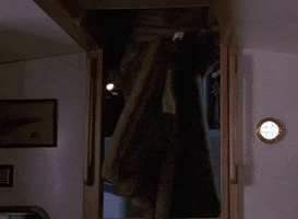 Fur GIF