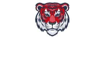 Tiger Kickboxing Sticker by HungarianWorldCup