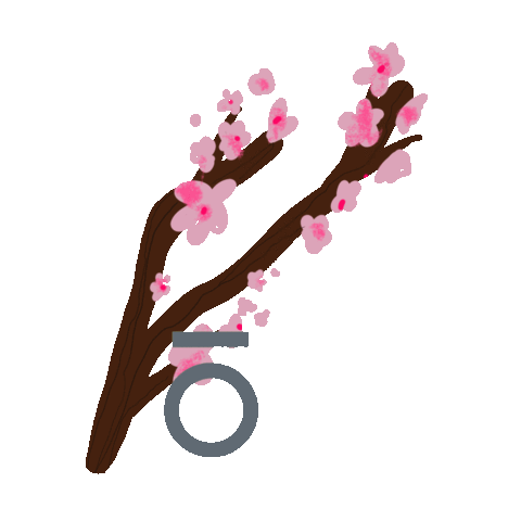 Cherry Blossom Flower Sticker by Henry&Jules