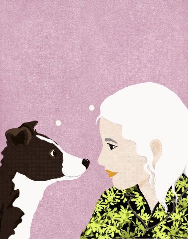 Bettertogether Petlove GIF