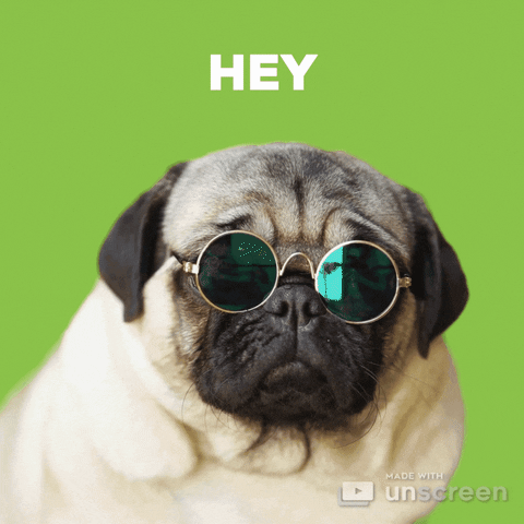 Whats Up Hello GIF by Unscreen