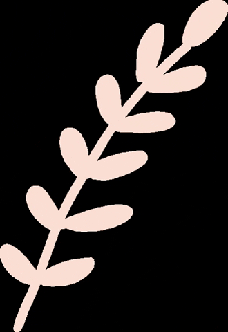 anavicenz naturaleza arbol hojas rama GIF