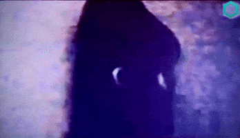 Horror Dark GIF