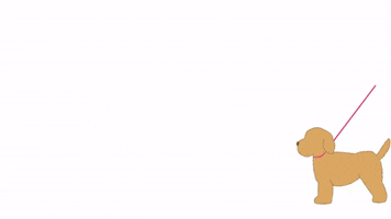 The Pawfect Match GIF