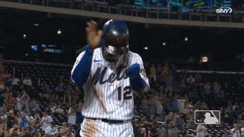 Happy Ny Mets GIF by New York Mets