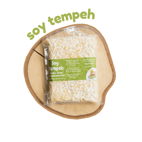 tempehking plant-based plant power tempe tempeh GIF