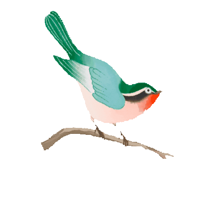 Porcelain Shanghai Dry Gin Sticker