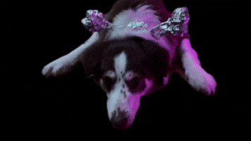 Dance GIF