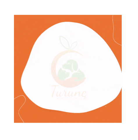 Turunc Sticker by Turunç Veteriner Kliniği