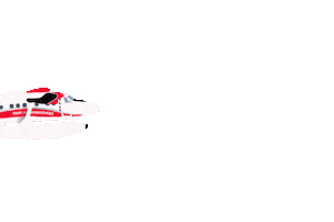 transmaldivian Sticker