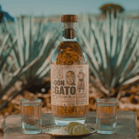 Don Gato Tequila GIF