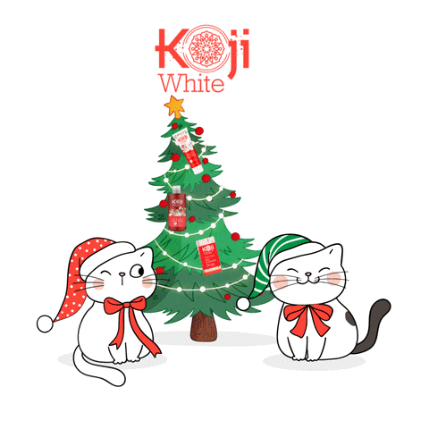 kojiwhite cat christmas xmas holidays GIF
