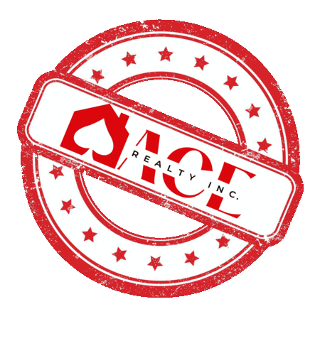 Real Estate Realtor Sticker by ACE Realty Inc.