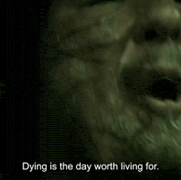 Living Pirates Of The Caribbean GIF