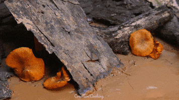 200.gif?cid=fc005b081027122da8d2dee1d956f2c5d30dac8f6496012b&rid=200.gif&ct=g