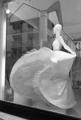 Art Bride GIF