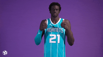Basketball GIF by Charlotte Hornets