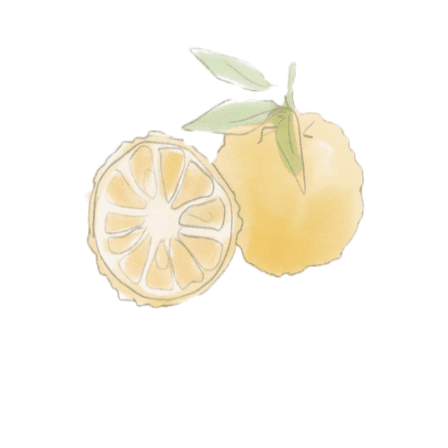 Yuzu Sticker by Kato Sake Works