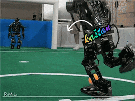 Animated GIF