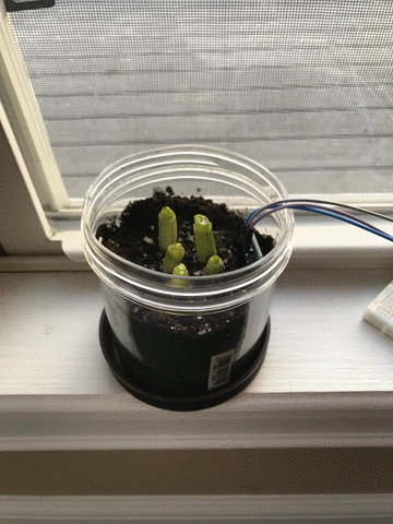 anaptfox nerd growing microcontroller green onion GIF