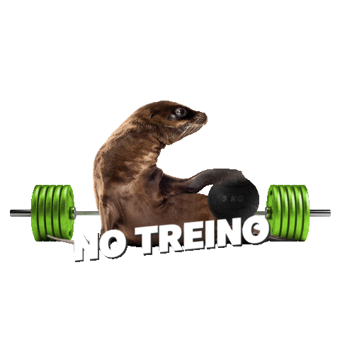 Sticker by Engenharia do Corpo