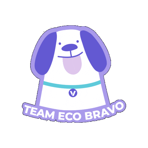 Go Bravo Sticker by Bravo México