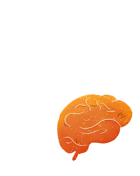 Macaw Brasil Sticker