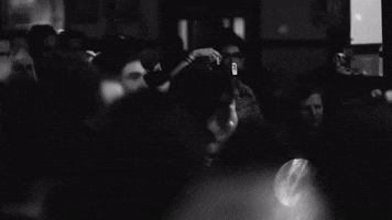 Mardi Gras Beads GIF by Parquet Courts