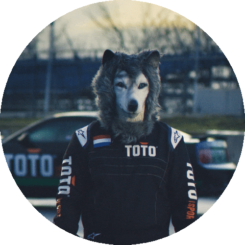 Formula 1 Sport Sticker by Toto