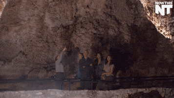 family vacation GIF by NowThis 