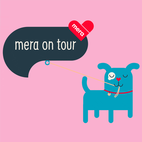 On Tour Cat GIF by mera petfood