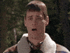 gross dumb and dumber GIF