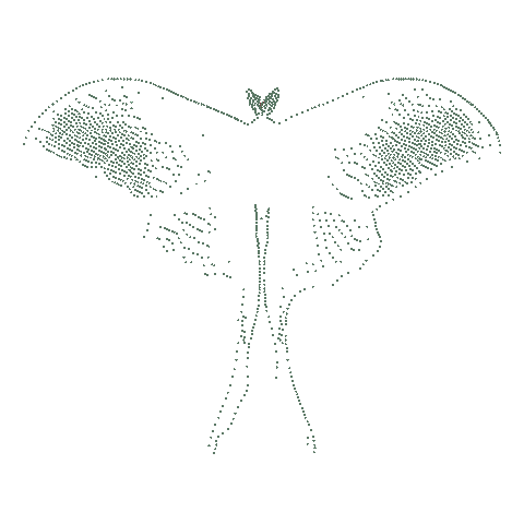 Lunar Moth Sticker by Maisy Kay