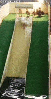 Présentation : Kiwikrykry / 200.gif?cid=af3708f35sdj3sv41962dbmkdv9jyoqdi1b5wbqwtrmr8tw5&rid=200