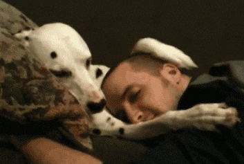 Ležící muž na psovi, který mu hladí hlavu svou tlapkou.