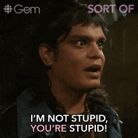 Comedy Youre Dumb GIF by CBC