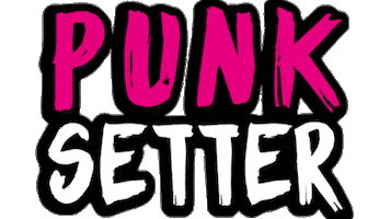 Game Setting Sticker by Punksetter