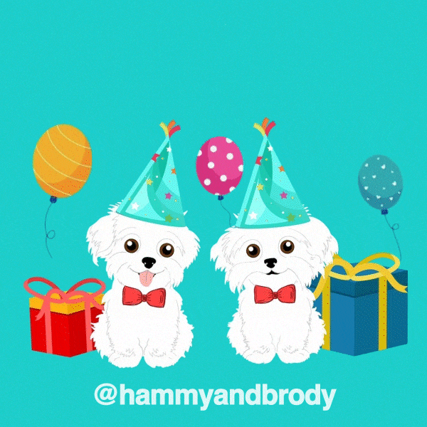 Dogs Birthday Wishes GIF by HammyandBrody