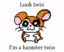 Im A Hamster Twin GIF
