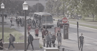 200.gif?cid=fc005b083edd7036f2466b89baea034a751786682c00775f&rid=200.gif&ct=g