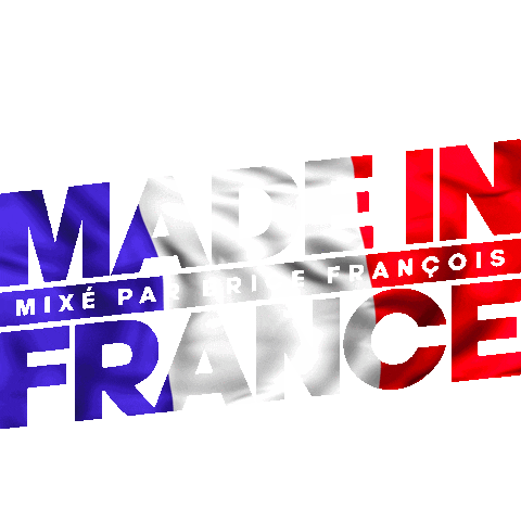 France Bricefrancois Sticker by BF Agency