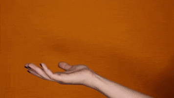 200.gif?cid=fc005b0898961e5861723d2aee2bb9ee11503108f2d4bb1a&rid=200.gif&ct=g